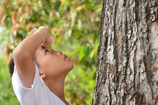 写真 木を抱き締めるアジアの少年愛の世界の概念と自然保護