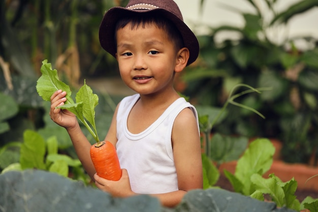 アジアの少年は、植えたニンジン製品に興奮しています。教室外での学習の概念