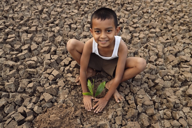 アジアの少年が不毛の地面と荒れた地面に木を育てようとしています。