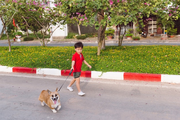 pembroke corgi 강아지와 함께 산책하는 아시아 소년