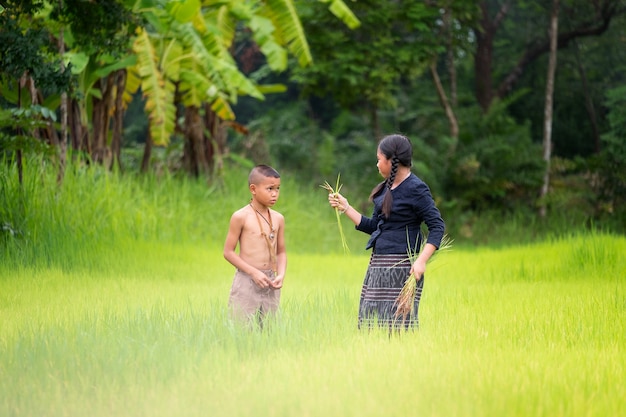 Asian children farmer on green rice field. Ecology concept at the forest