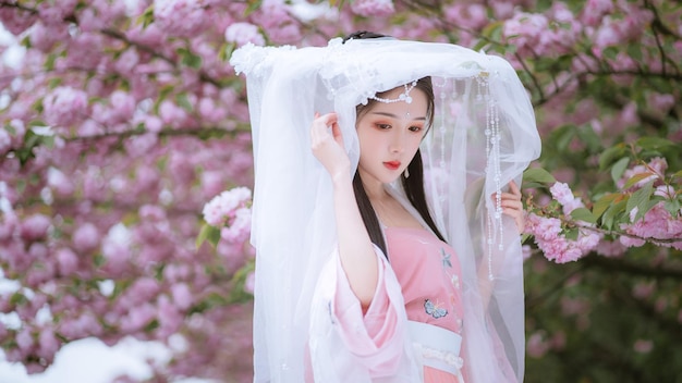 アジアの中国風漢服のセクシーな女性の美しさ