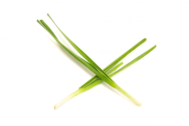 Asian chives (leek) (chopped) isolated on white background