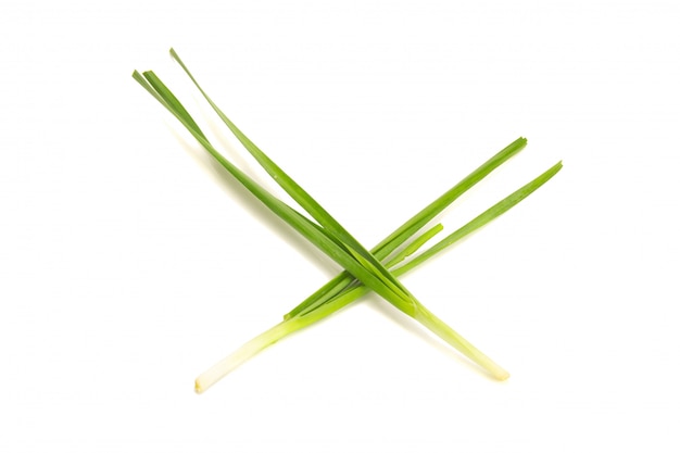 Photo asian chives (leek) (chopped) isolated on white background