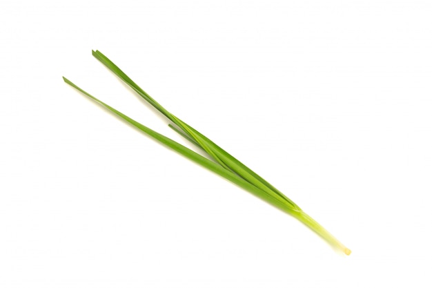 Photo asian chives (leek) isolated on white background