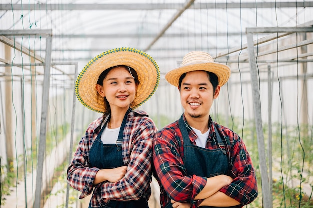 asian couple finds joy in tomato hydroponic farm