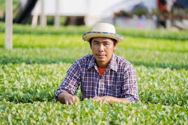 Asian farmer in hat checking young seedlings in his farm in the vegetable garden