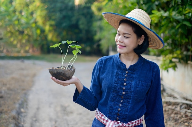 農業用の小さな植物を保持しているアジアの農家