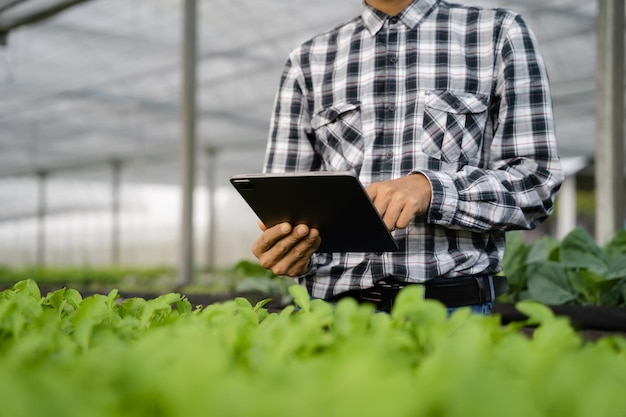 手持ちタブレットと有機野菜を使用したアジアの農家が、温室農園で水耕栽培を行い、水耕サラダ菜園の所有者が働いているスマート農業