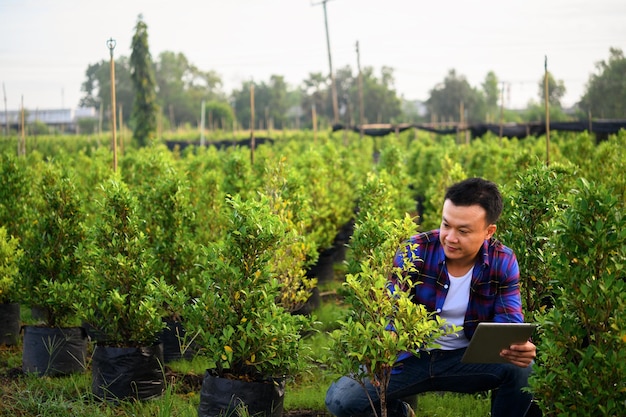 Agricoltore asiatico che utilizza un computer tablet nel concetto di campo di grano della moderna agricoltura intelligente utilizzando la tecnologia elettronica e le app mobili nella produzione agricola