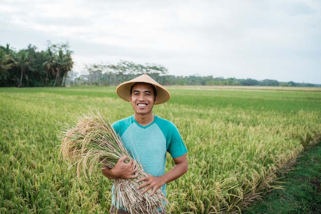 Photo asian farmer with a hat in the rice field