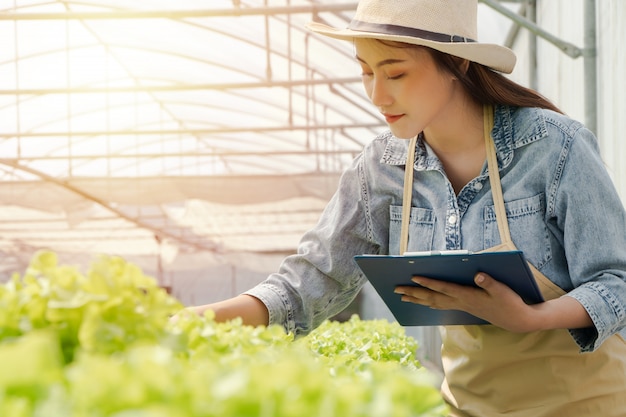 Asian farmer woman holding clipboard and raw vegetable salad for check quality in hydroponic farm system in the greenhouse.