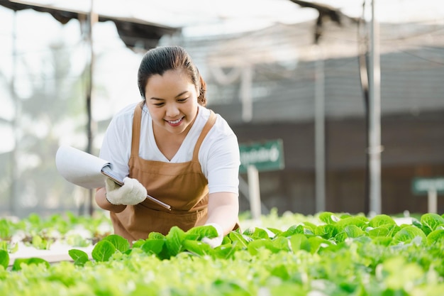 Donna asiatica dell'agricoltore che lavora nella fattoria idroponica di verdure organiche. proprietario dell'orto di insalata idroponica che controlla la qualità della verdura nella piantagione di serre.