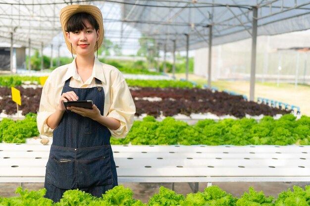 Asian farmer woman working at salad farmfemale asia growing\
vegetables for a wholesale business in the fresh market