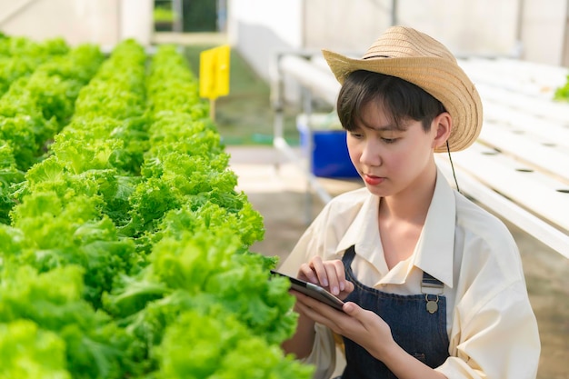 サラダ農場で働くアジアの農家の女性女性アジア生鮮市場での卸売業のための野菜の栽培