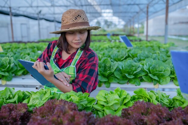 サラダ農場で働くアジアの農家の女性中小企業のための有機養液野菜を植える