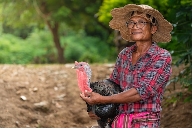 Asian farmers take turkey heads