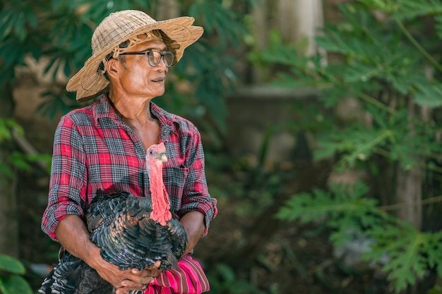 Asian farmers take turkey heads