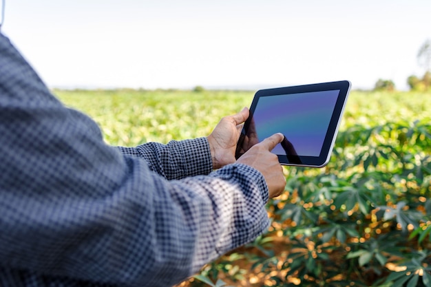 Asian farmers use digital tablets to gather information and analyze the crops in their fields.