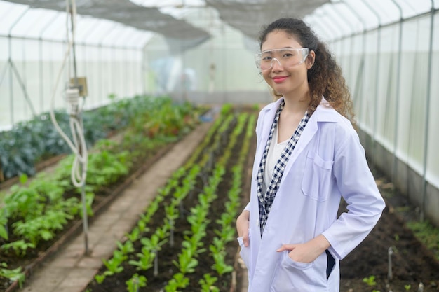 Asian female agronomist working in a greenhouse organic vegetable and agriculture concept