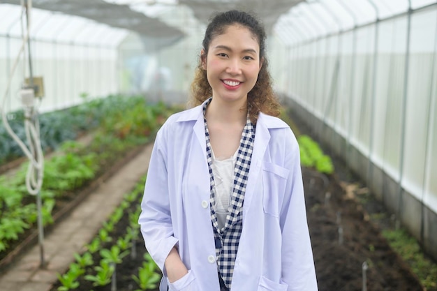 Asian female agronomist working in a greenhouse organic vegetable and agriculture concept