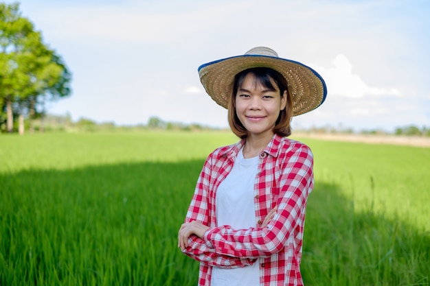 Asian female farmer in the rice field