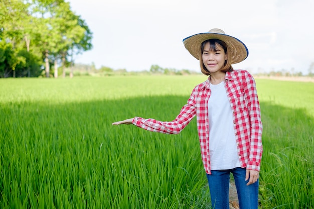 Asian female farmer in the rice field