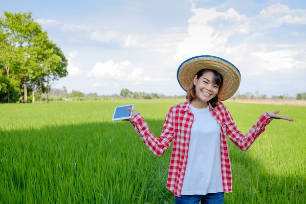 Asian female farmer in the rice field