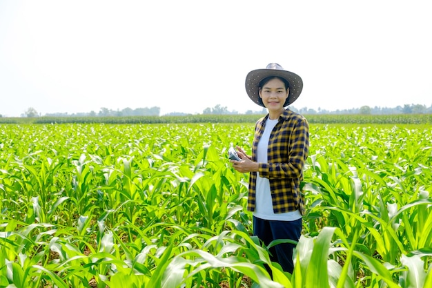 Asian female farmer in striped shirt piloting a drone at a corn field