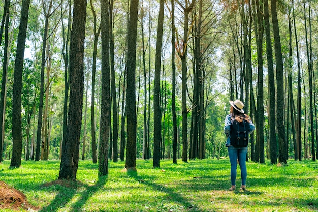 An asian female traveler with a hat and backpack standing back and looking into a beautiful pine woods