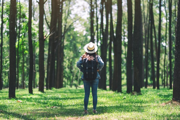 An asian female traveler with a hat and backpack standing back and looking into a beautiful pine woods