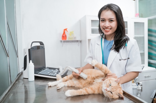 아시아 여성 수의사 의사는 수의사 클리닉에서 복부의 초음파 검사를 고양이로 만들고 있습니다.
