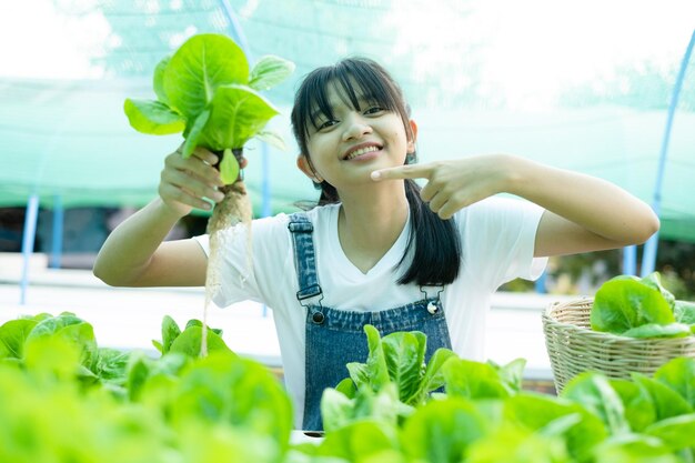 Asian girl picking vegetables in a hydroponic vegetable garden at her home.