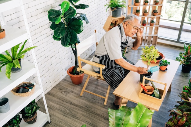 Un nonno asiatico ama prendersi cura delle piante, aggiustare gli occhiali per vedere i dettagli delle piante in un giardino interno in casa con felicità.