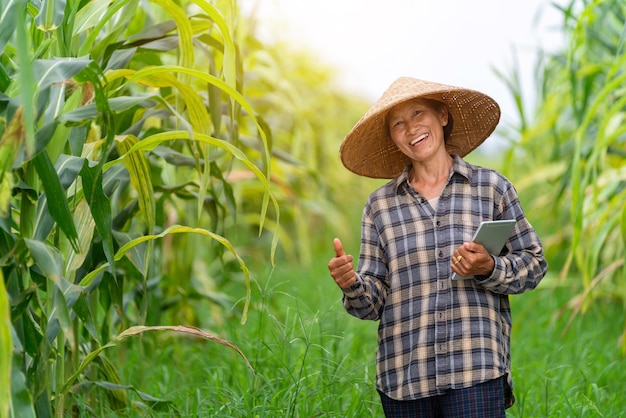 Asian happy women in organic corn or maize field farmer smile and holding tablet use technology in corn field Agricultural products online sales concept