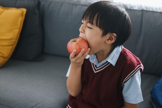 Photo asian kid boy eating apple fruit healthy school breakfast for child