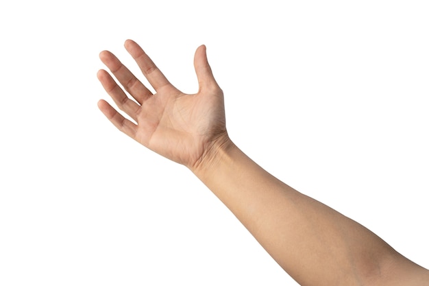 Bella mano vuota della donna asiatica della signora isolata su fondo bianco con il percorso di residuo della potatura meccanica.