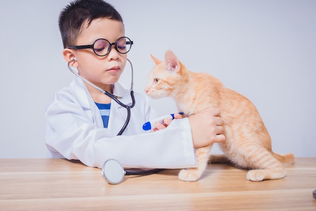 Asian male doctor examining a cat