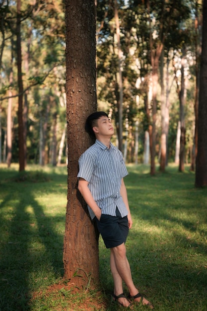 森の松の木に静かに寄りかかるアジア人男性