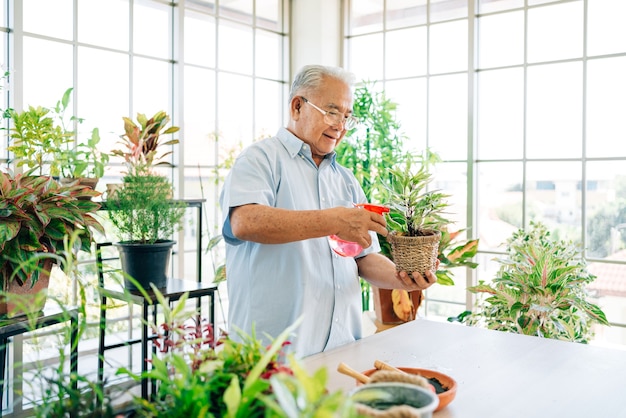 아시아 남성 은퇴 한 노인은 실내 정원에서 안개가 자욱한 식물에 물을 뿌려 식물을 돌보는 것을 좋아합니다. 은퇴 활동을 즐기십시오.