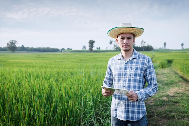 L'agricoltore asiatico con lo smartphone cammina per ispezionare gli alberi di riso nella risaia.