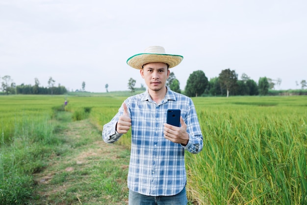 스마트폰을 들고 있는 아시아 남자 농부는 쌀 농장의 벼 나무를 검사하기 위해 걸어갑니다.
