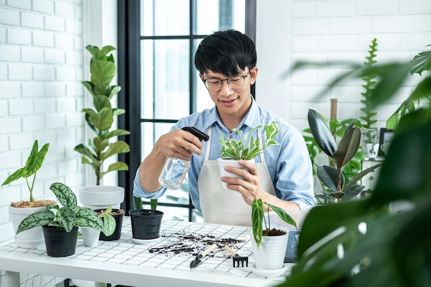 アジア人の庭師は小さな観葉植物を持っており、趣味の活動中に自宅の部屋の植物の世話をするためにスプレーボトルの散水植物を使用しています、ホームガーデンの概念