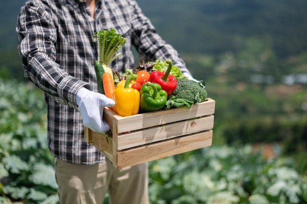 写真 アジア人男性が農場から新鮮な野菜を収 ⁇ しています 太陽の光の下で ⁇ 楽の時間を共にするコンセプト