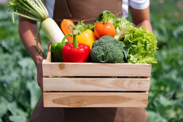 Asian man harvesting fresh vegetable from farm leisure time togetherness conceptxA