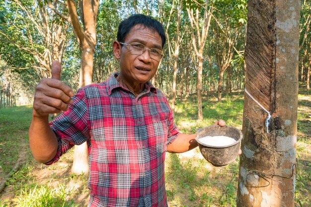 アジア人シニア農家、ゴム農園のアジア人農家