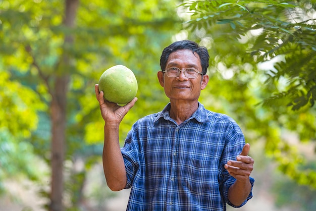 Coltivatore senior dell'uomo asiatico con verde del pomelo, agricoltore asiatico dell'uomo sullo spazio vuoto della copia