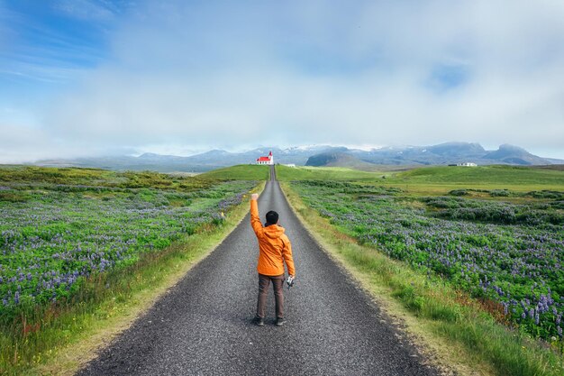 Asian man standing on the road with Ingjaldsholskirkja church on hill among lupine wildflower in summer at Snaefellsnes peninsula Iceland