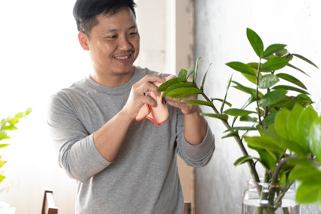 Asian man with glasses taking care of his houseplants doing home gardening in his apartment