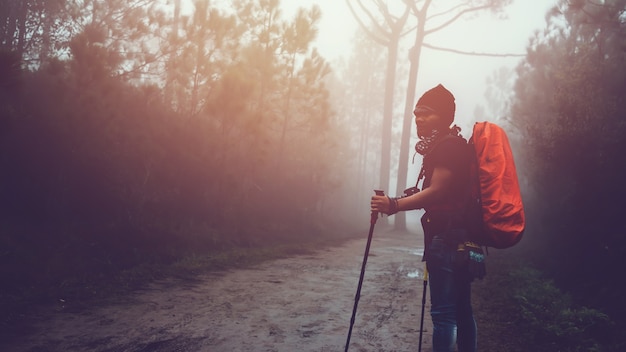 Asian men travel  nature. Travel relax. Backpack walk in the forest. Thailand